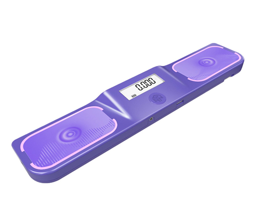 Gan Halo Standard Timer Purple